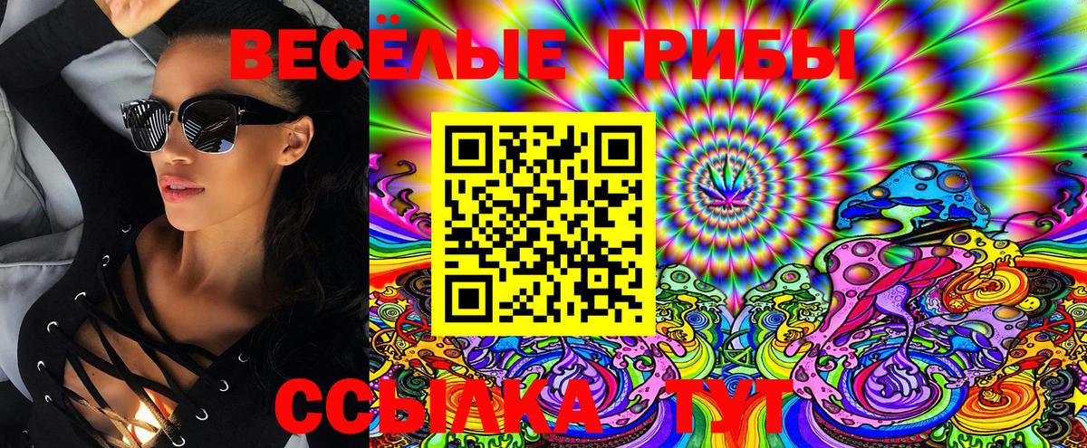 Галлюциногенные грибы MAGIC MUSHROOMS Заводоуковск