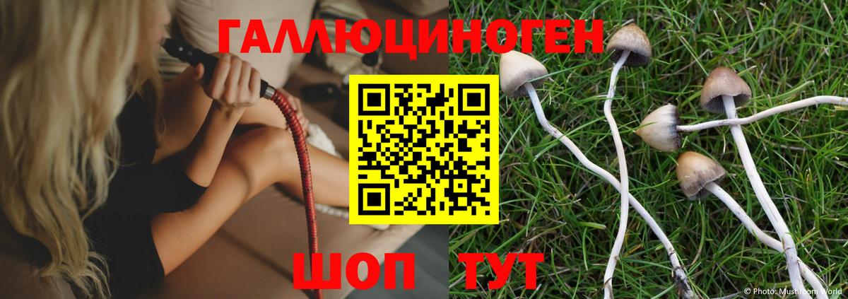 что такое   Галлюциногенные грибы Cubensis  Вход с VPN  Заводоуковск 
