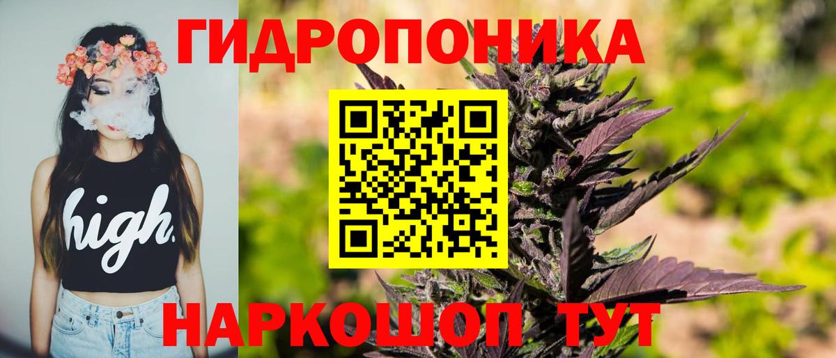 МАРИХУАНА планчик Заводоуковск